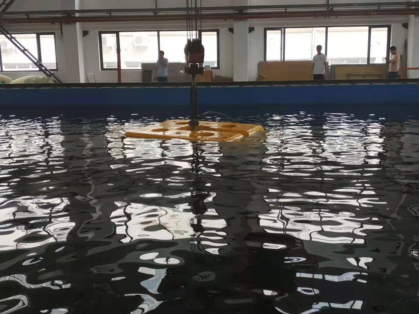 海狮3.jpg